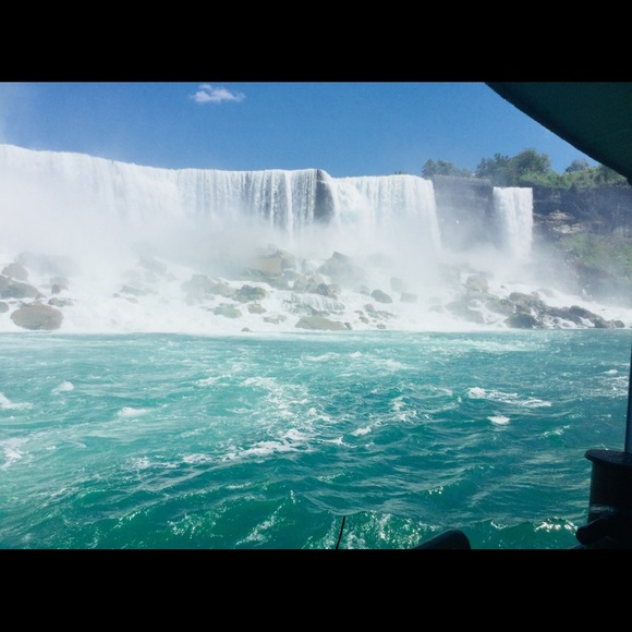 Meet your Posher, Drucilla - Picture 6 of 16